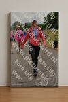 Evenement foto: Nijmeegse Vierdaagse 761
