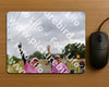 Evenement foto: Nijmeegse Vierdaagse 761