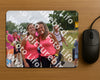 Evenement foto: Nijmeegse Vierdaagse 761