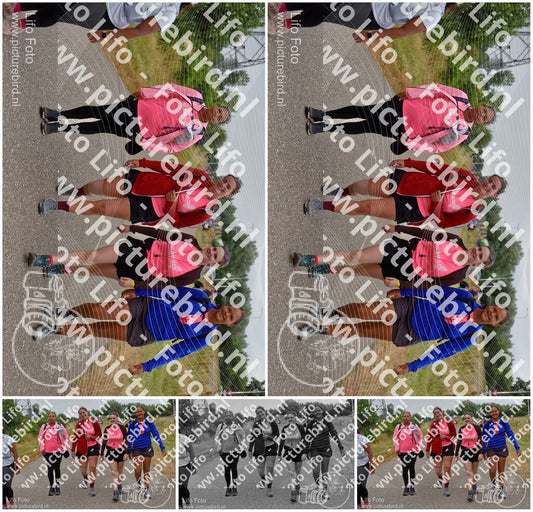 Evenement foto: Nijmeegse Vierdaagse 761