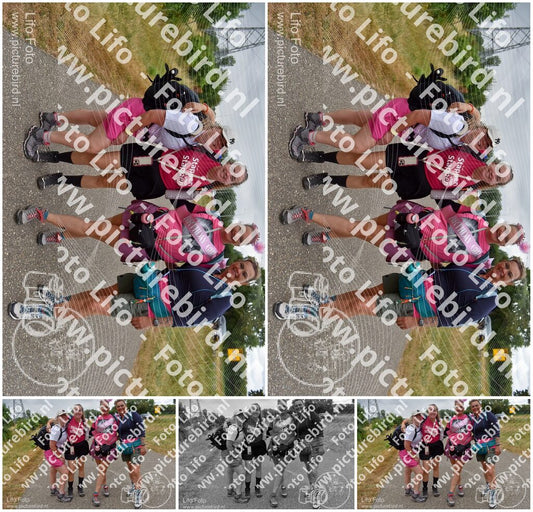 Evenement foto: Nijmeegse Vierdaagse 761