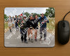 Evenement foto: Nijmeegse Vierdaagse 761