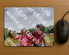 Evenement foto: Nijmeegse Vierdaagse 761