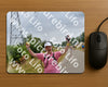 Evenement foto: Nijmeegse Vierdaagse 761