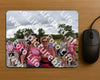 Evenement foto: Nijmeegse Vierdaagse 760