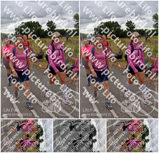 Evenement foto: Nijmeegse Vierdaagse 760