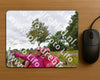 Evenement foto: Nijmeegse Vierdaagse 760