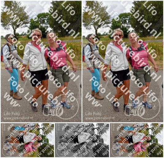 Evenement foto: Nijmeegse Vierdaagse 760