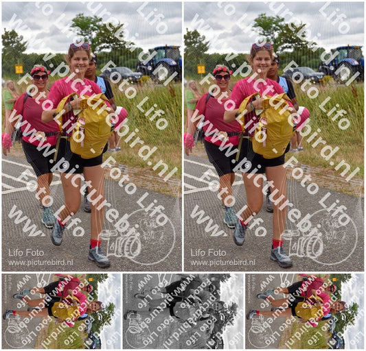 Evenement foto: Nijmeegse Vierdaagse 760