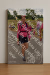 Evenement foto: Nijmeegse Vierdaagse 760