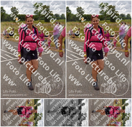 Evenement foto: Nijmeegse Vierdaagse 760