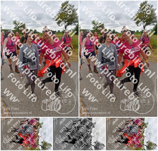 Evenement foto: Nijmeegse Vierdaagse 760