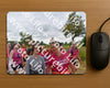Evenement foto: Nijmeegse Vierdaagse 760