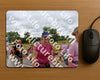 Evenement foto: Nijmeegse Vierdaagse 760