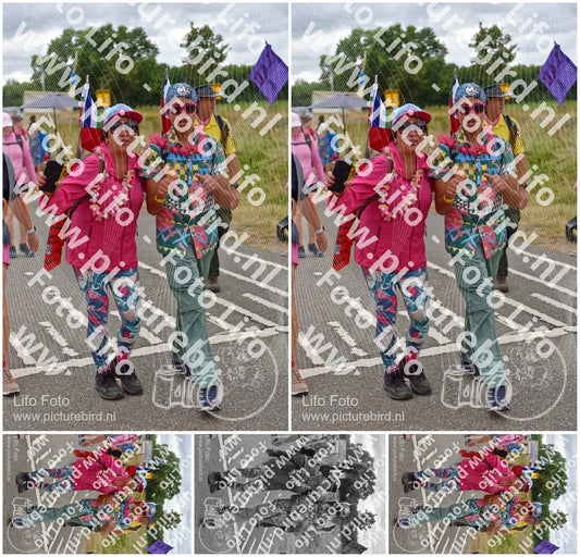 Evenement foto: Nijmeegse Vierdaagse 760