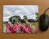 Evenement foto: Nijmeegse Vierdaagse 760