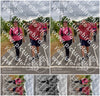 Evenement foto: Nijmeegse Vierdaagse 760