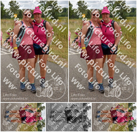 Evenement foto: Nijmeegse Vierdaagse 760