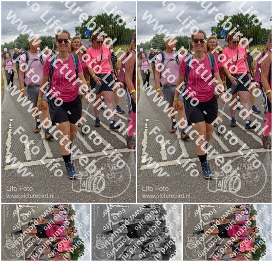 Evenement foto: Nijmeegse Vierdaagse 760