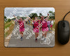 Evenement foto: Nijmeegse Vierdaagse 760