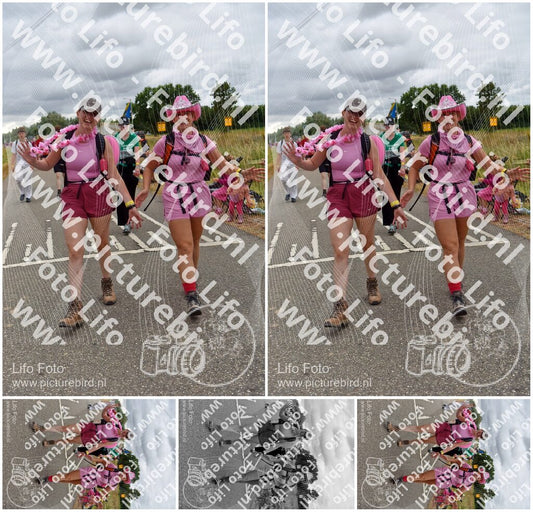 Evenement foto: Nijmeegse Vierdaagse 760