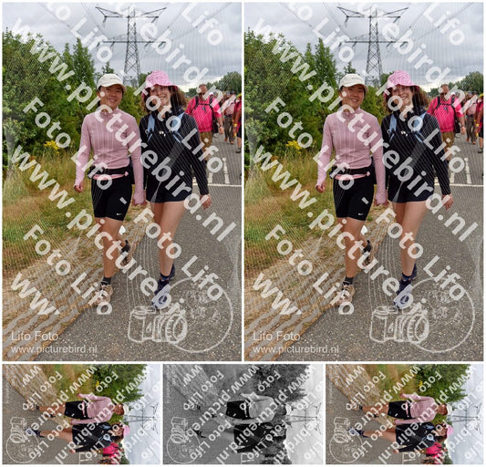 Evenement foto: Nijmeegse Vierdaagse 760