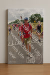 Evenement foto: Nijmeegse Vierdaagse 760