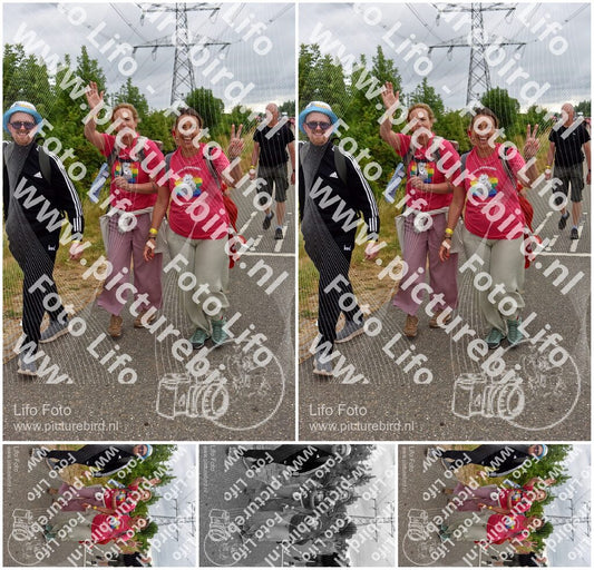 Evenement foto: Nijmeegse Vierdaagse 760