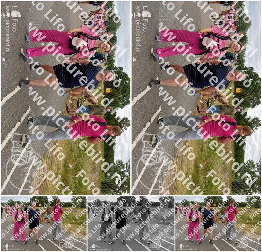 Evenement foto: Nijmeegse Vierdaagse 760