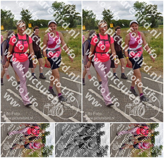 Evenement foto: Nijmeegse Vierdaagse 760
