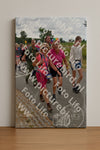 Evenement foto: Nijmeegse Vierdaagse 759