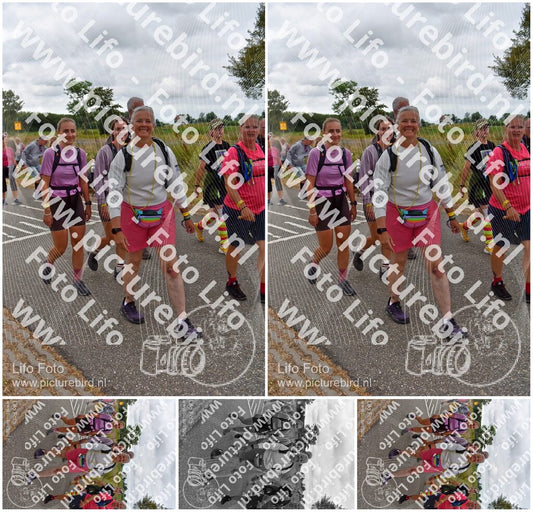 Evenement foto: Nijmeegse Vierdaagse 759