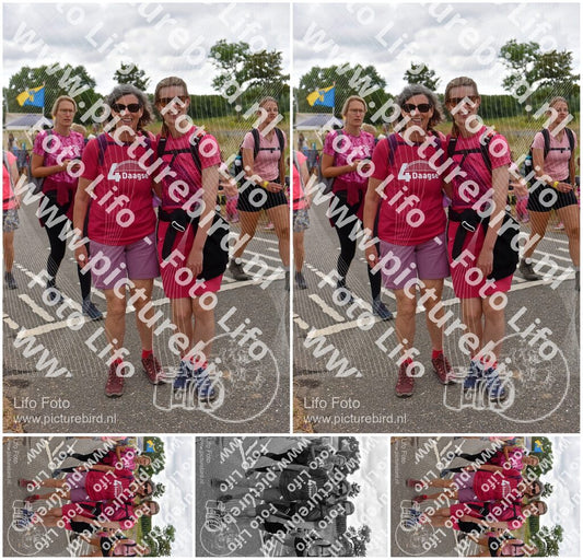 Evenement foto: Nijmeegse Vierdaagse 759