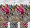 Evenement foto: Nijmeegse Vierdaagse 759