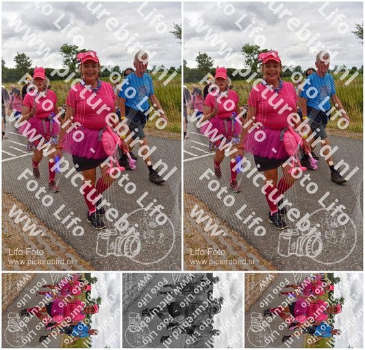 Evenement foto: Nijmeegse Vierdaagse 759