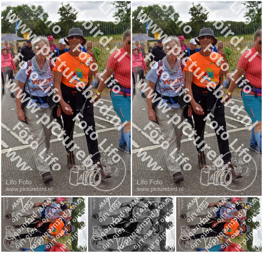 Evenement foto: Nijmeegse Vierdaagse 759