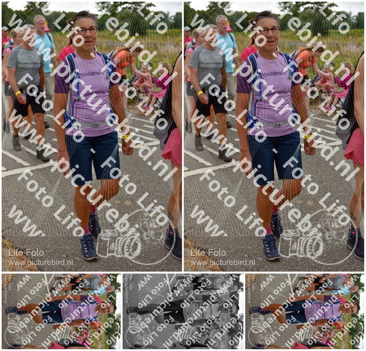 Evenement foto: Nijmeegse Vierdaagse 759
