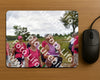 Evenement foto: Nijmeegse Vierdaagse 759
