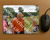 Evenement foto: Nijmeegse Vierdaagse 759