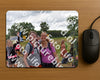 Evenement foto: Nijmeegse Vierdaagse 759