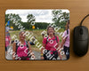 Evenement foto: Nijmeegse Vierdaagse 759