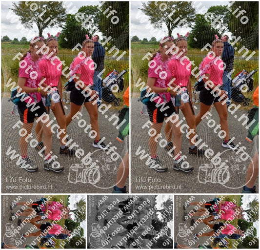 Evenement foto: Nijmeegse Vierdaagse 759