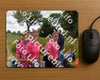 Evenement foto: Nijmeegse Vierdaagse 759