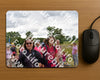 Evenement foto: Nijmeegse Vierdaagse 759