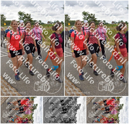 Evenement foto: Nijmeegse Vierdaagse 759