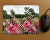 Evenement foto: Nijmeegse Vierdaagse 759