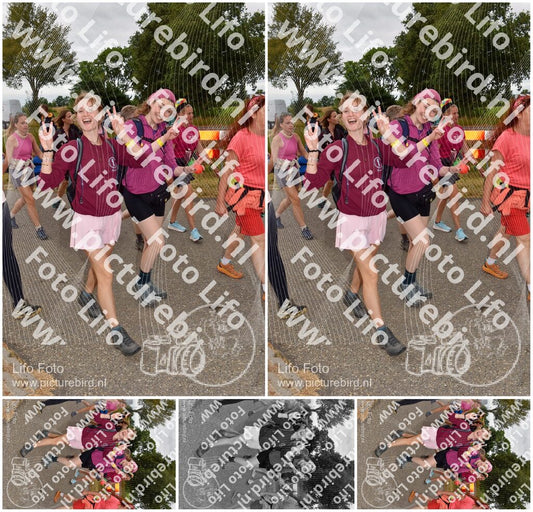 Evenement foto: Nijmeegse Vierdaagse 758