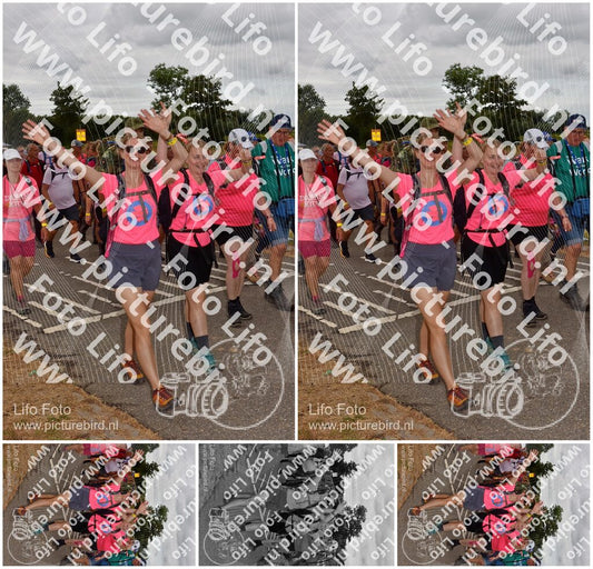 Evenement foto: Nijmeegse Vierdaagse 758