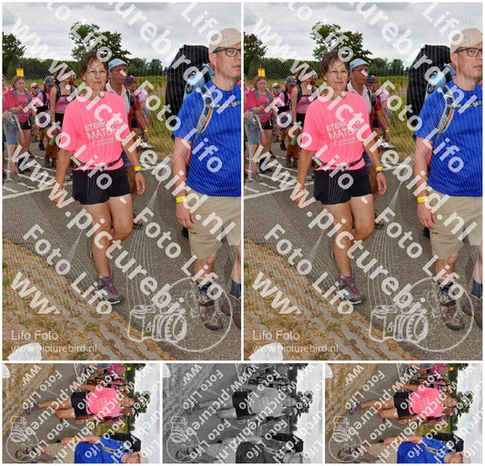 Evenement foto: Nijmeegse Vierdaagse 758