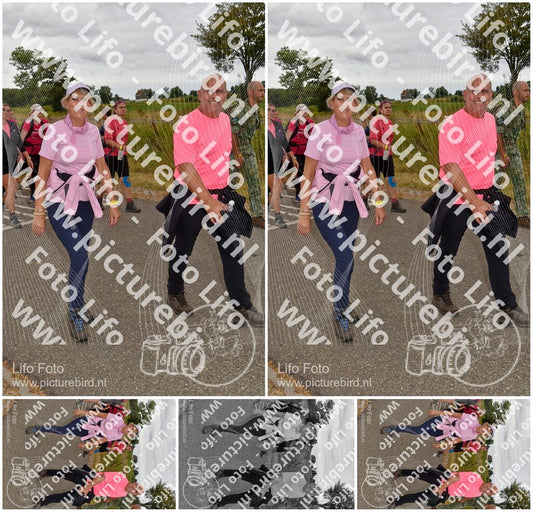 Evenement foto: Nijmeegse Vierdaagse 758